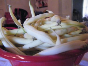 Yellow Wax Beans