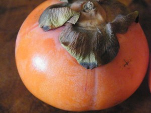 Persimmon