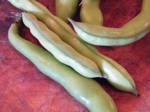 broad beans