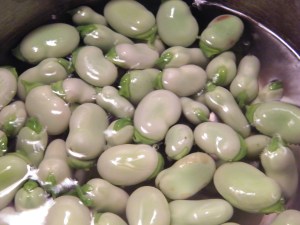 fava beans blanch