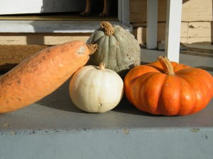 banana ghost fairy tale blue hubbard squash